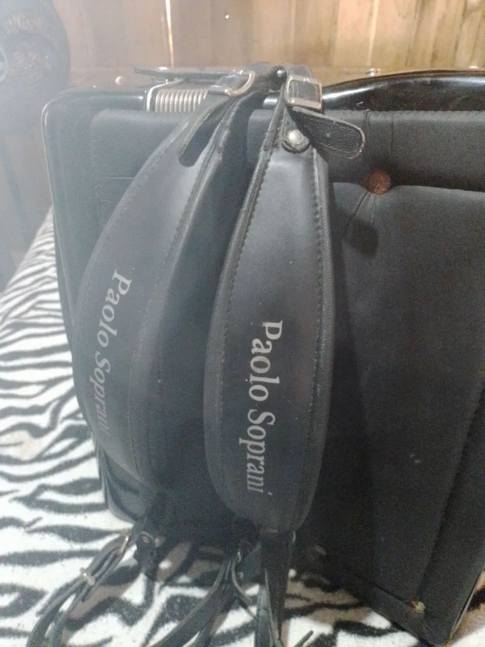 Acordeon  - Foto 5