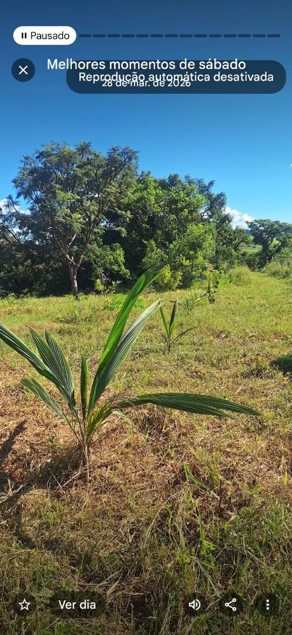 Chácara 20.000m2 - OPORTUNIDADE!