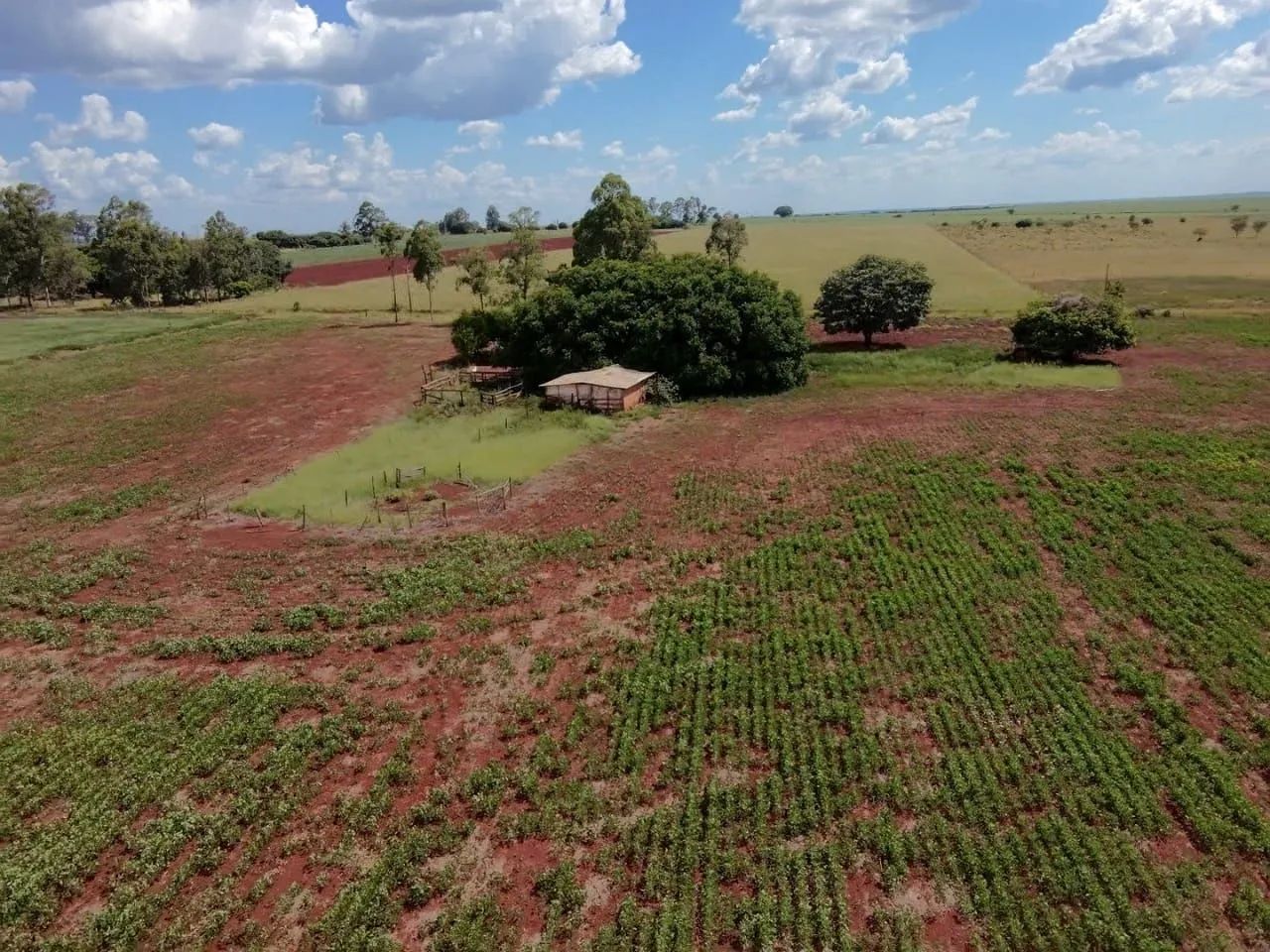 Chácara próximo de Sidrolândia  - Foto 3