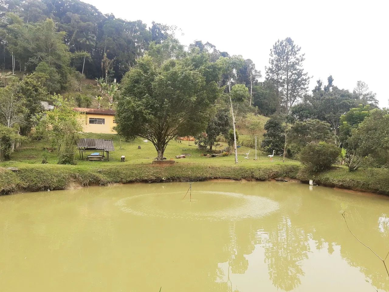 Foto - Embu das Artes - Jardim Marina