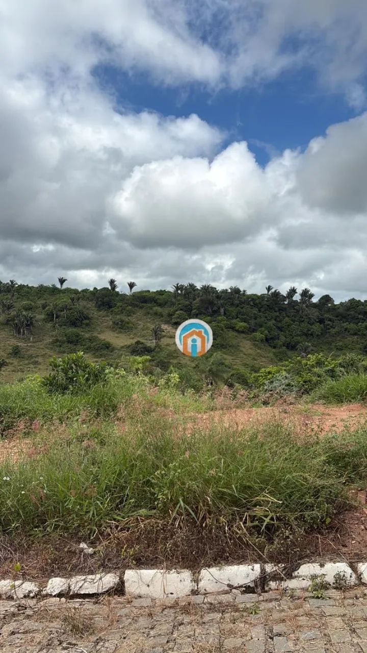Bananeiras - Caminhso da serra - Lote plano - Foto 3
