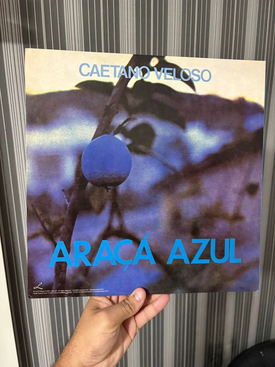Lp Caetano Veloso - Araça Azul (Importado / gatefold / disco transparente) - Foto 4