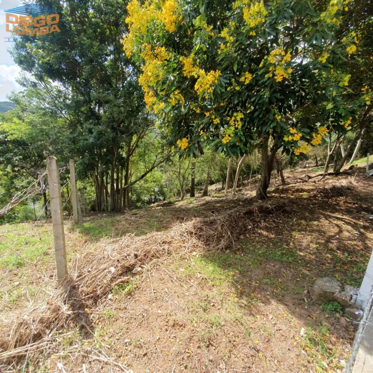 Terreno - Florianópolis SC