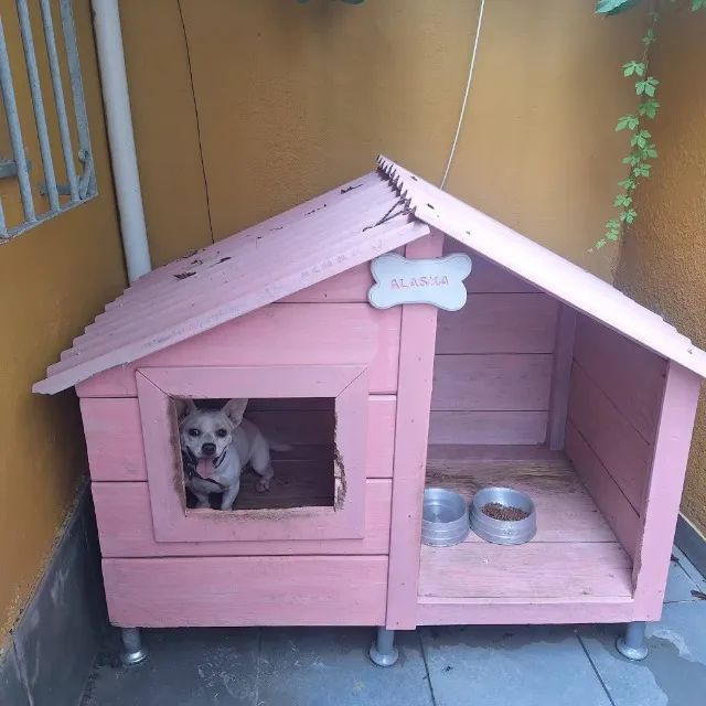 DOAÇÃO DE CACHORRO - Foto 2