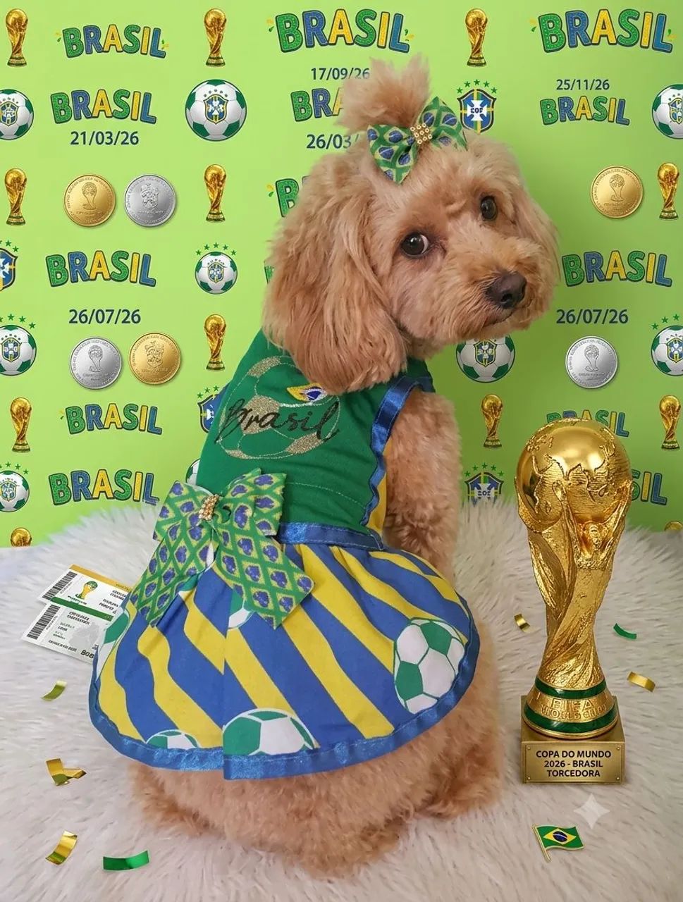 Roupa da copa para pet - Foto 3