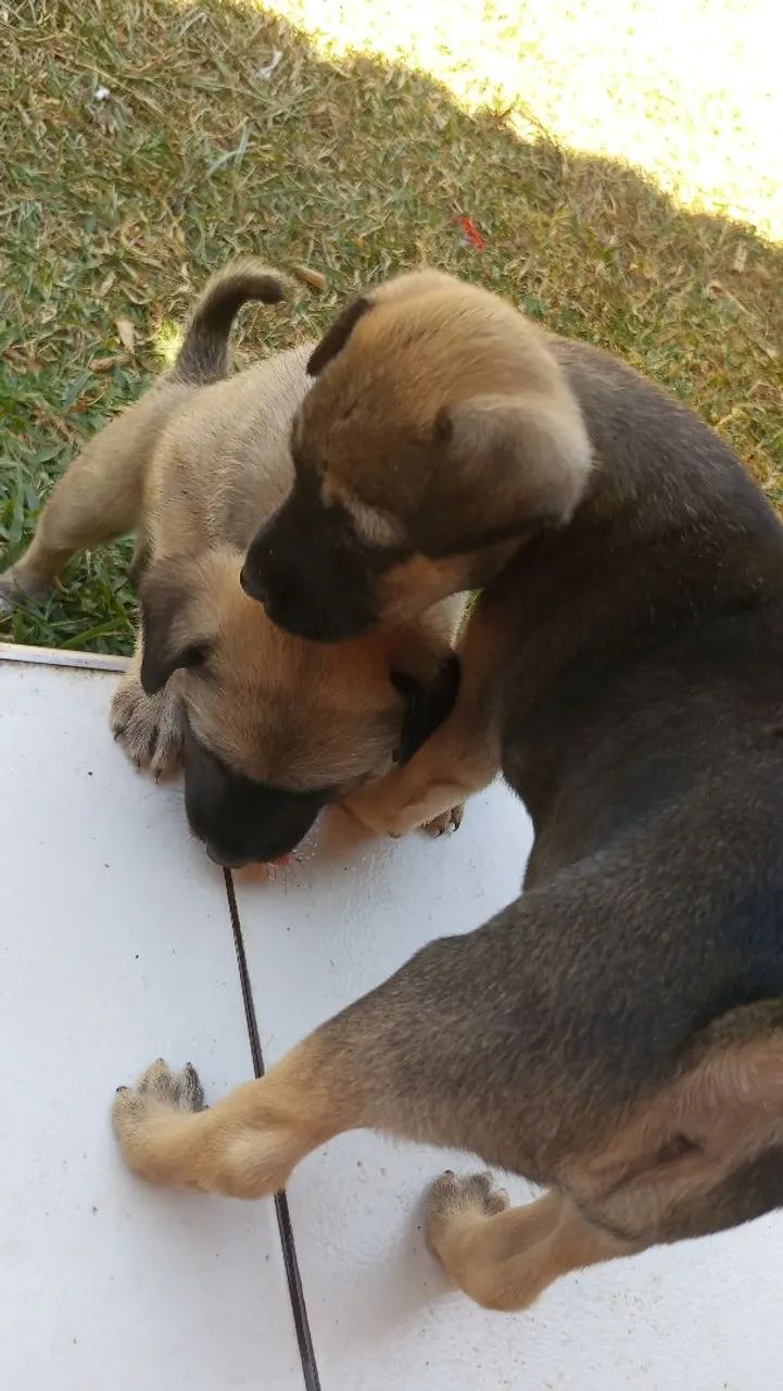 Doação  - Foto 3