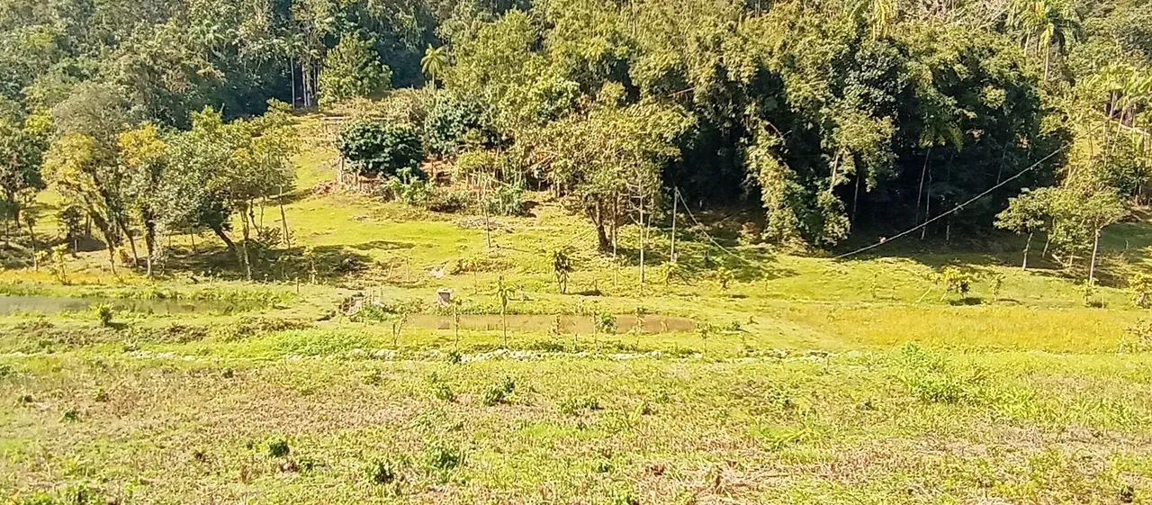 Venda Sítio cidade de Sete Barras  - Foto 5