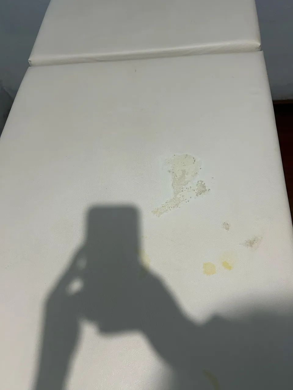 Maçã - Foto 2