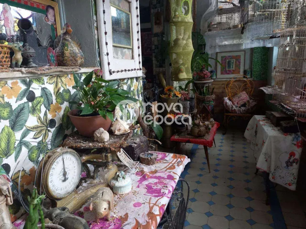 Cosme Velho | Casa 3 quartos - Foto 3