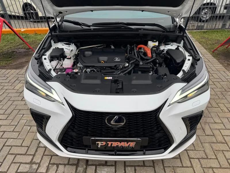 Lexus NX-350h F-sport 2.5 16V Aut. (hybrid), foto 4 de 20