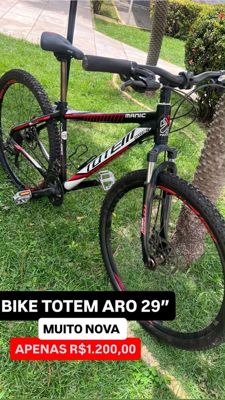 Bike Tottem 29