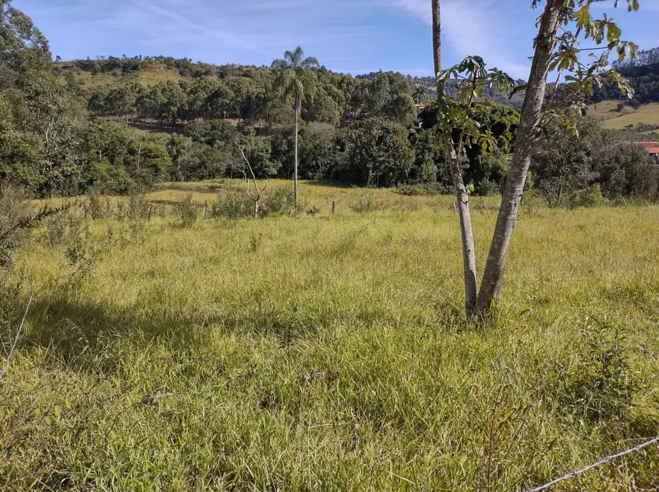 Sítio casa,café , com bela cachoeira - Foto 3