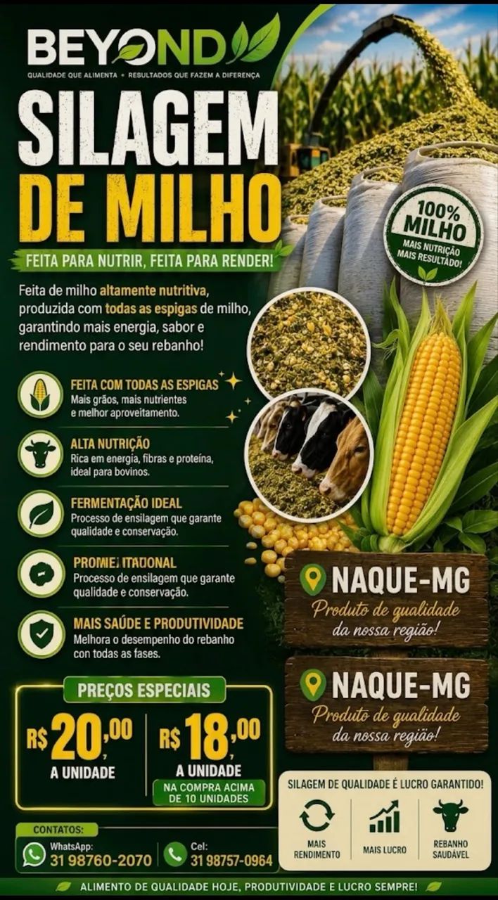 Silagem de milho - Foto 2