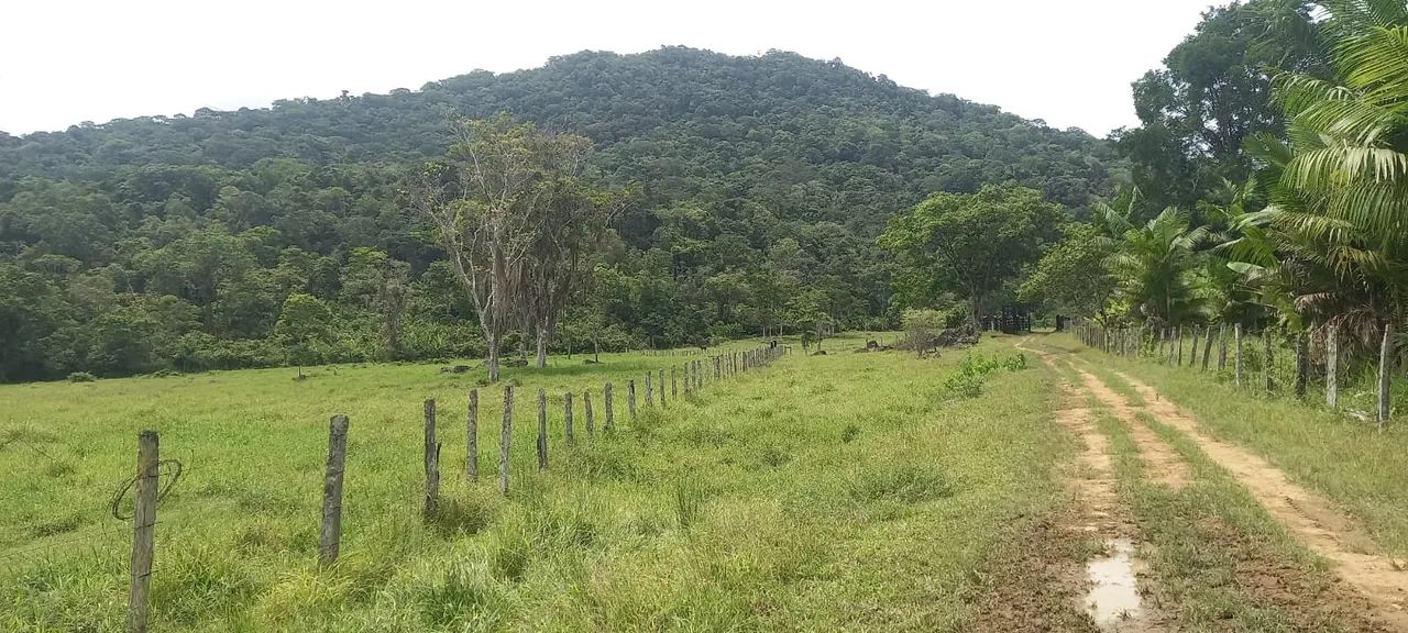 Fazenda com 4 quartos à Venda, 160 m² em Itapé/BA - Foto 3