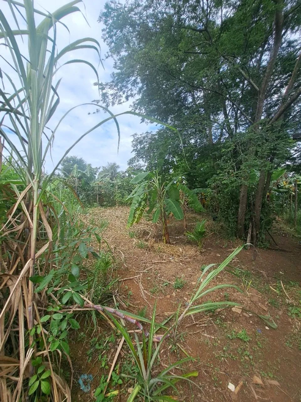 Terreno  - Foto 5