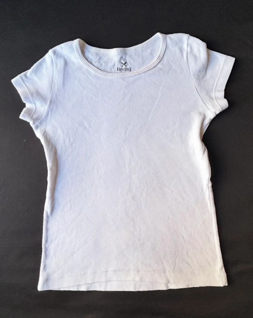 Camisa Hering kids  