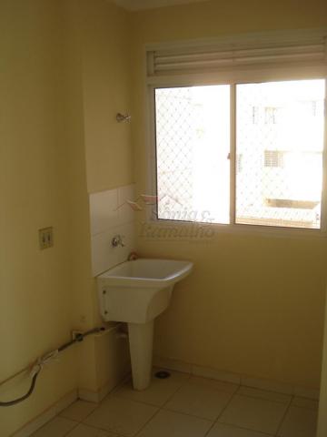 Apartamento à venda com 3 dormitórios em Campos eliseos, Ribeirao preto cod:V12524 - Foto 8