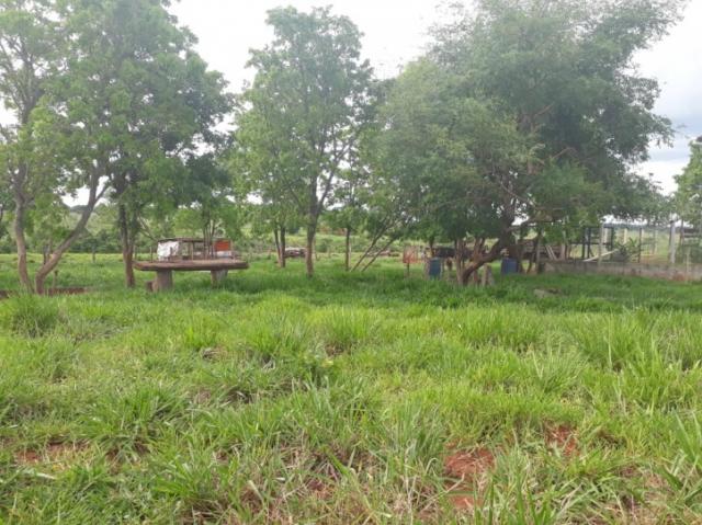 FAZENDA A VENDA EM NIOAQUE - MS (Pecuária)