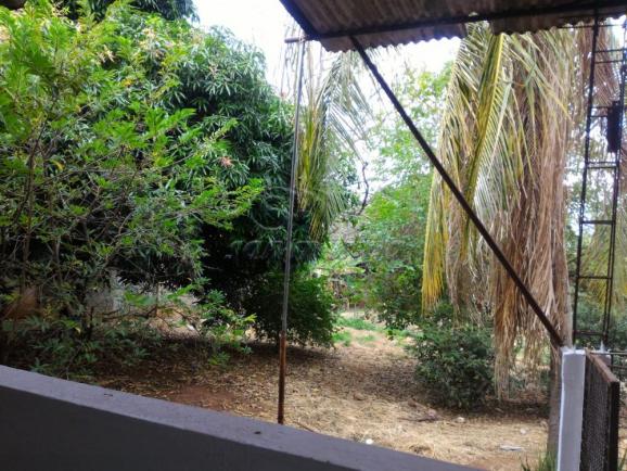 Casa para alugar com 3 dormitórios em Vila santa tereza, Jaboticabal cod:L3304 - Foto 15