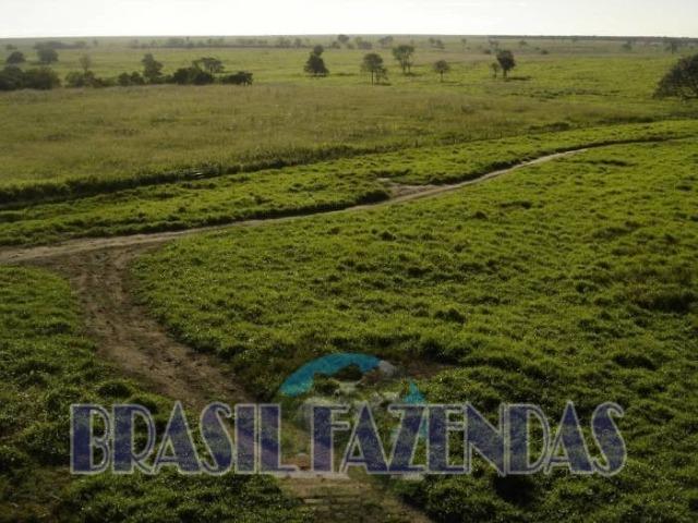Fazenda em Barreiras. Oeste da Bahia - Foto 9