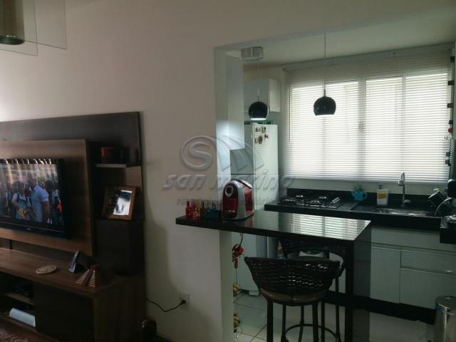 Apartamento à venda com 2 dormitórios em Maria marconato, Jaboticabal cod:V2513 - Foto 2