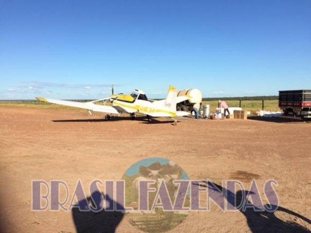 Fazenda em Barreiras. Oeste da Bahia - Foto 12