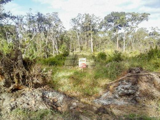 Terreno à venda em Cohapar, Guaratuba cod:125331 - Foto 2