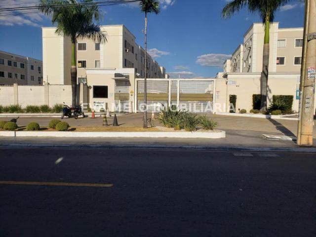 Apartamento para alugar com 2 dormitórios em Bairro santa rita, Goiania cod:em915