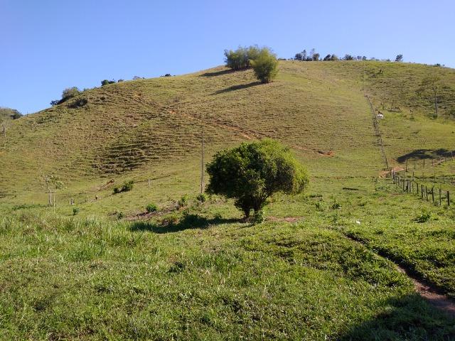 Sítio Viana 2 alqueires - Foto 6