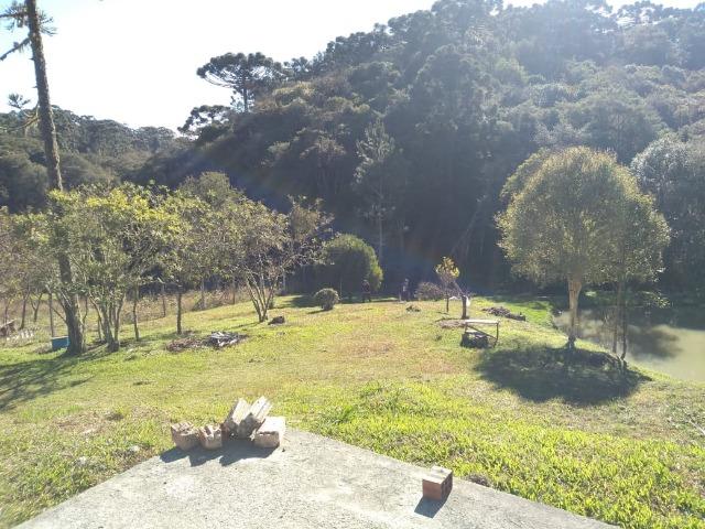 Otima oportunidade de negocio - Chacara - Foto 4