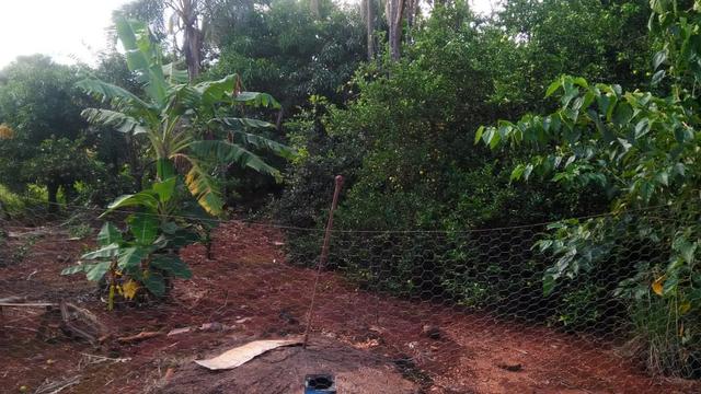 Fazenda terra de cultura município Tupaciguara - Foto 2