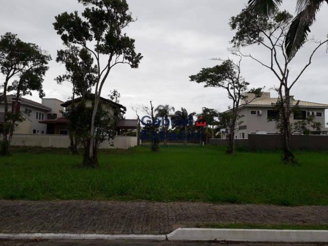 Terreno alto padrão no condomínio residencial south beach - parcelado entrada de r$ 39.000 - Foto 15