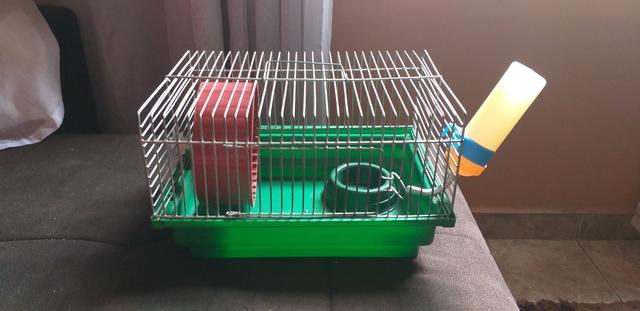 Gaiola para Hamster simples