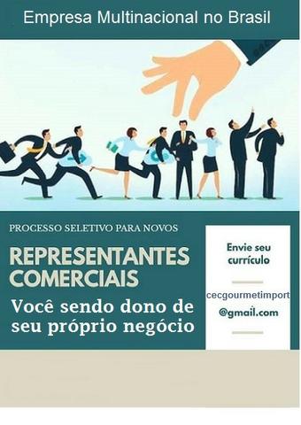 Representante Comercial - Foto 2