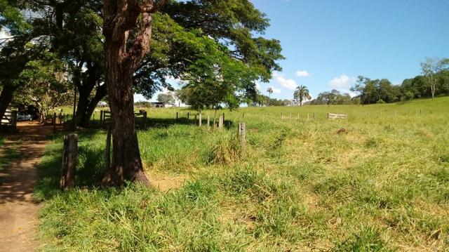 100 Alq. Cultura | Margem Lago | 78 km de Goiânia. R$ 15 Milhões - Foto 11