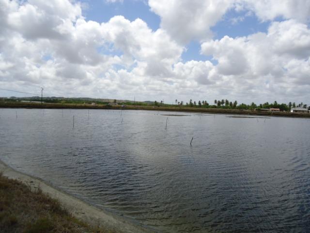 Vendo Fazenda de Camarão em Mossoró ? RN - Foto 20