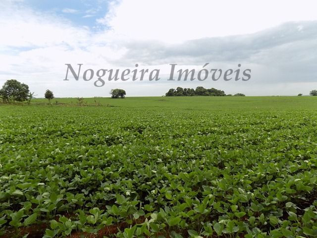 Sítio na região, área com 24 alqueires, terra vermelha (Nogueira Imóveis Rurais) - Foto 8