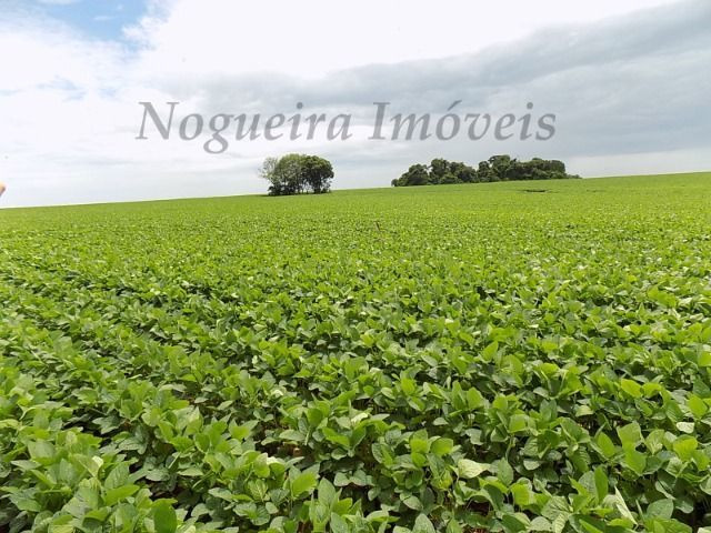 Sítio na região, área com 24 alqueires, terra vermelha (Nogueira Imóveis Rurais) - Foto 3