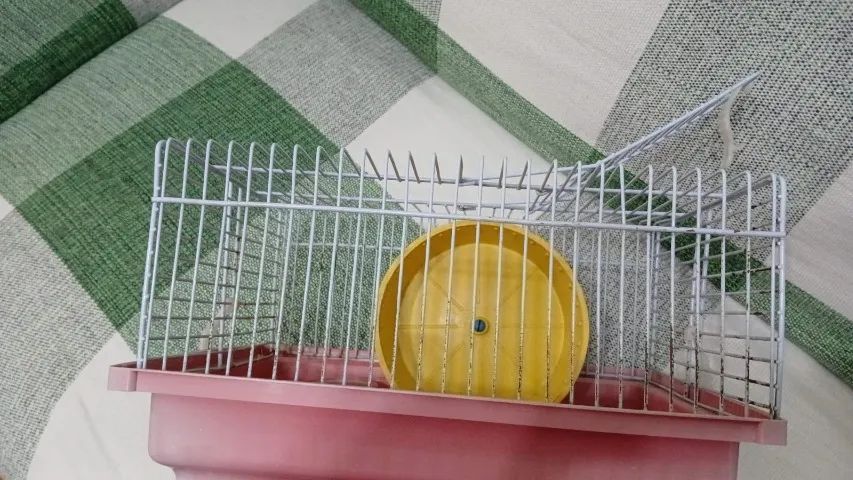 Gaiola de Hamister - Foto 2