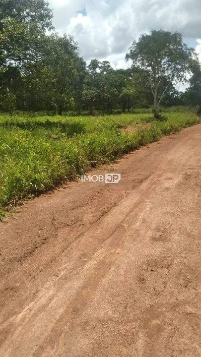 Fazenda entre Cristalândia e Lagoa da Confusão - TO - Foto 3