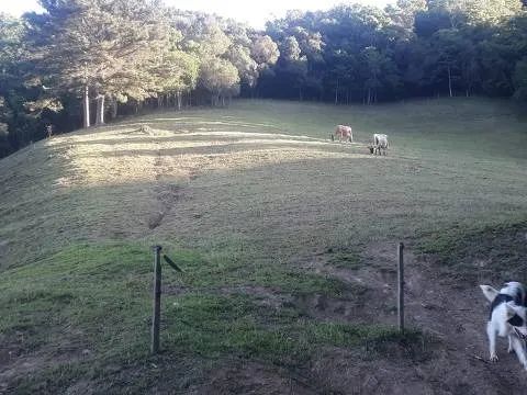 Vendo sítio de 12 hectares (120.000 mil metros)