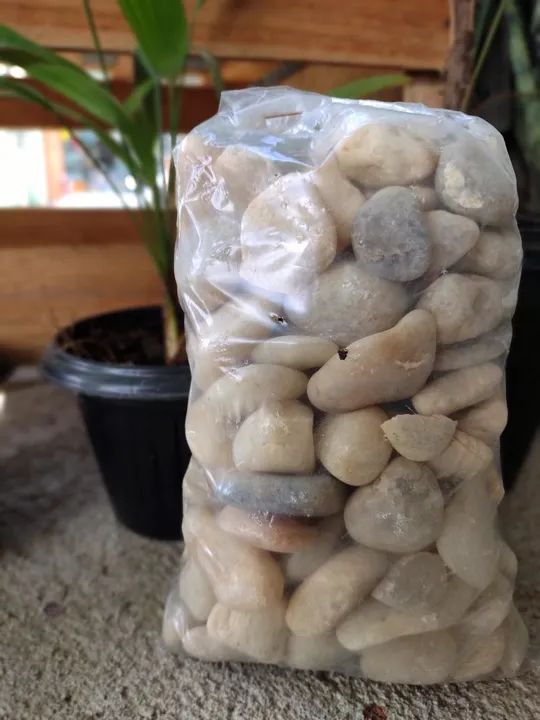 Pedra de rio 64276661362689120