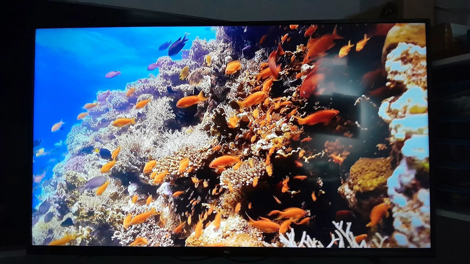 SMART TV ANDROID TCL 50 POLEGADAS 4K ULTRA HD HDR COM COMANDO DE VOZ