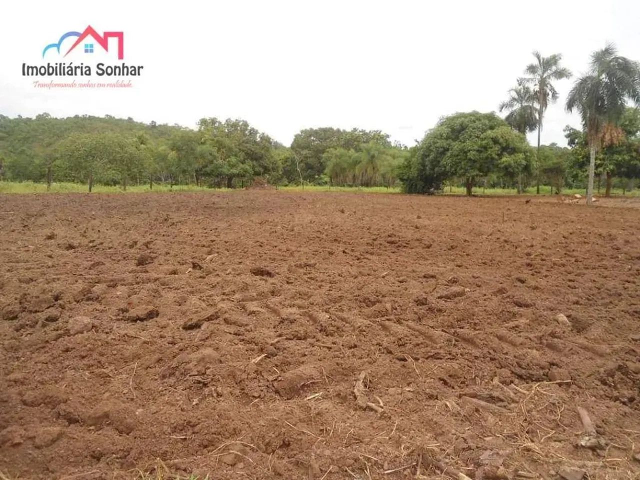 fazenda em Pium, uma joia - Foto 5