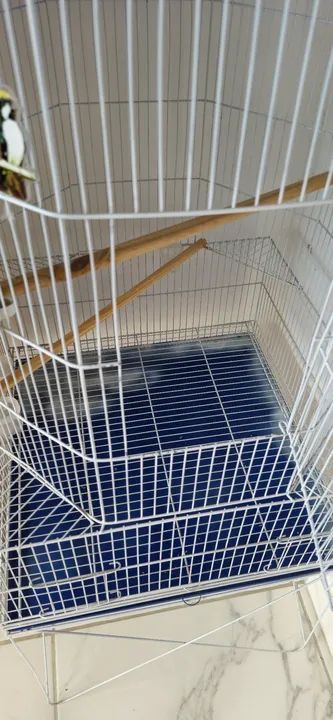 Gaiola Grande para Pássaros - Com  Telhado Azul - Foto 2