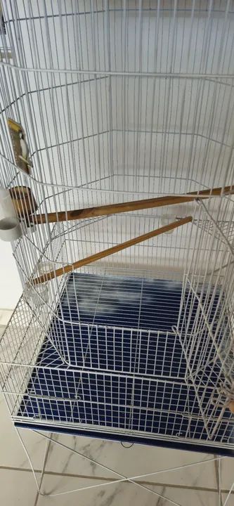 Gaiola Grande para Pássaros - Com  Telhado Azul - Foto 6
