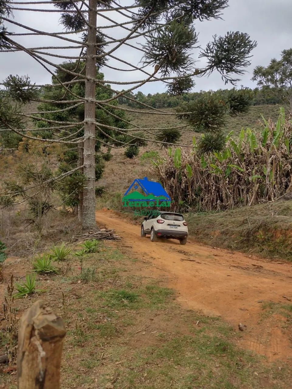 Sítio à venda em Franceses, Carvalhos, MG - Foto 3