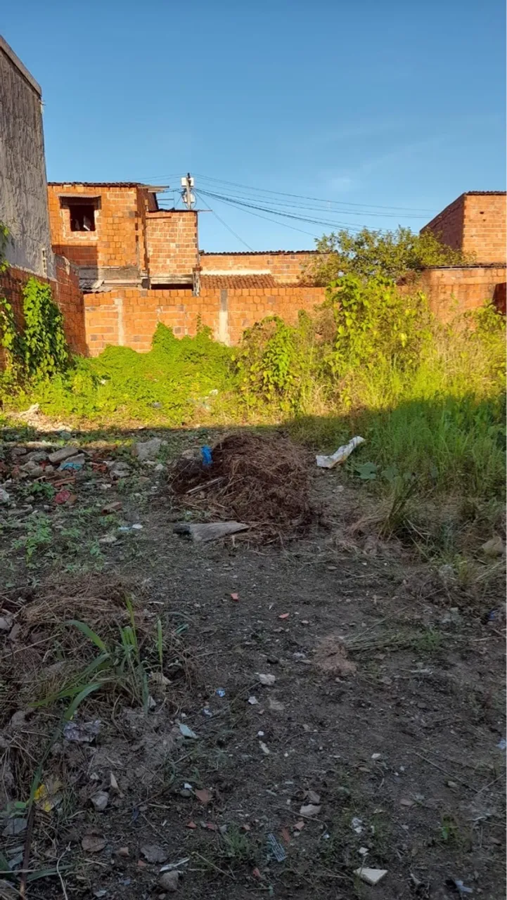 Terreno