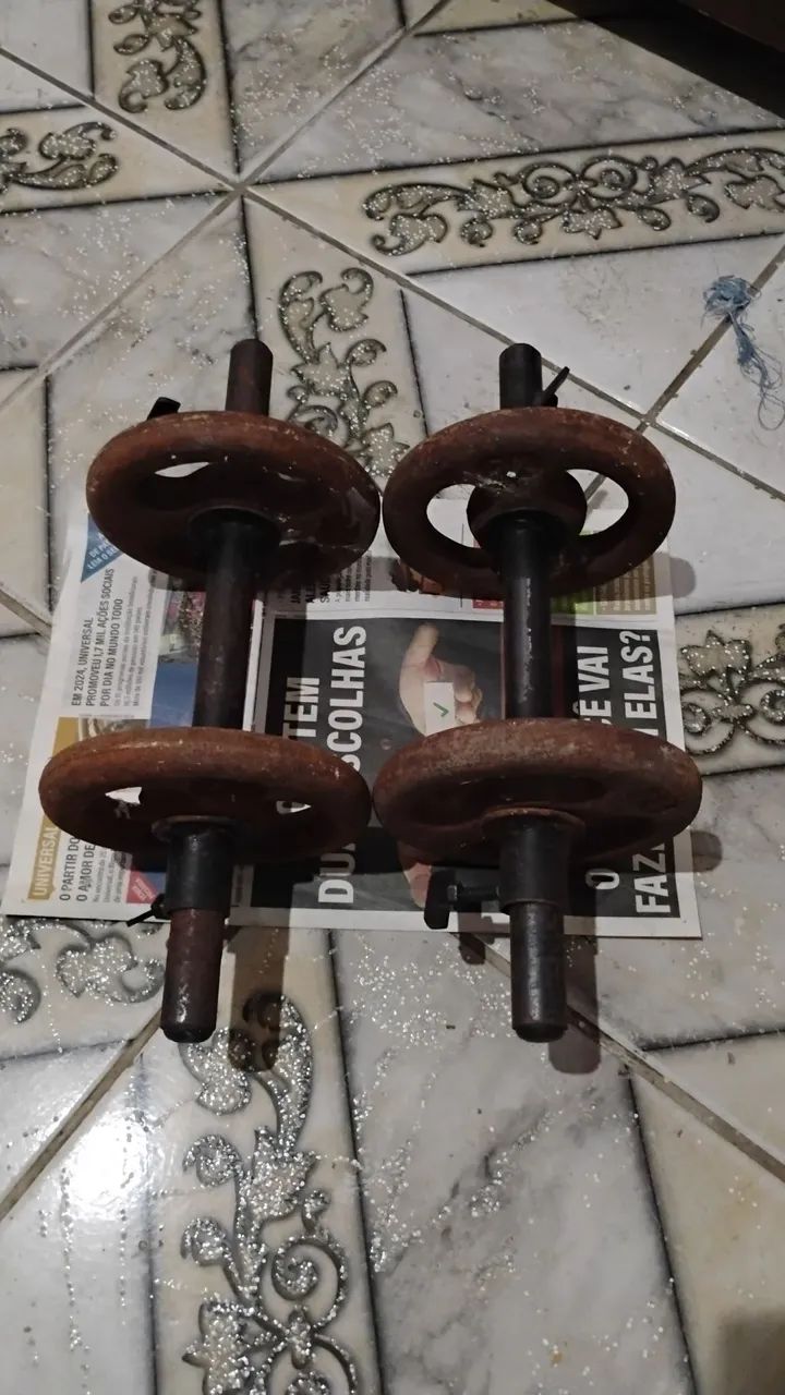 Halteres 63824622026371120