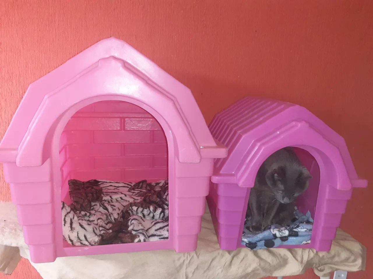 Casinha para cachorro ou gato